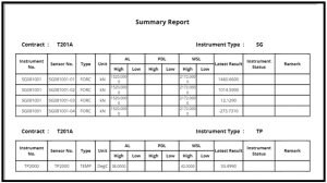 summary report